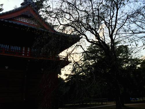 清水公園の夕焼け