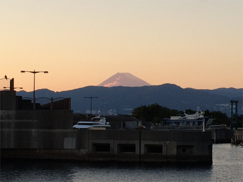 ホテルからの風景